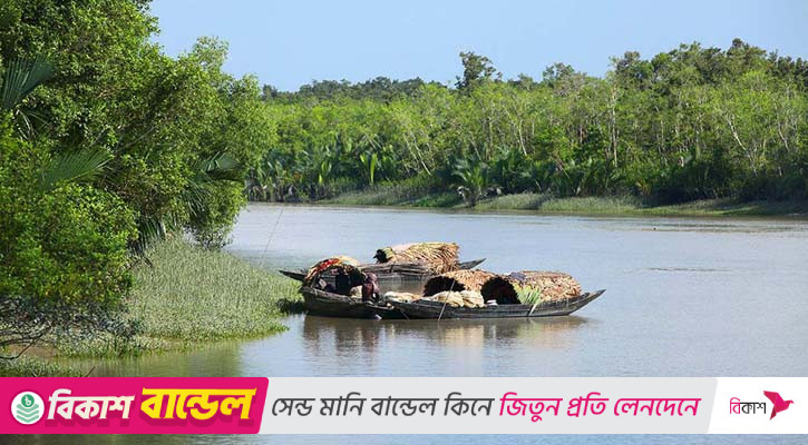 সুন্দরবন থেকে বাংলাদেশি ছয় জেলেকে অপহরণ